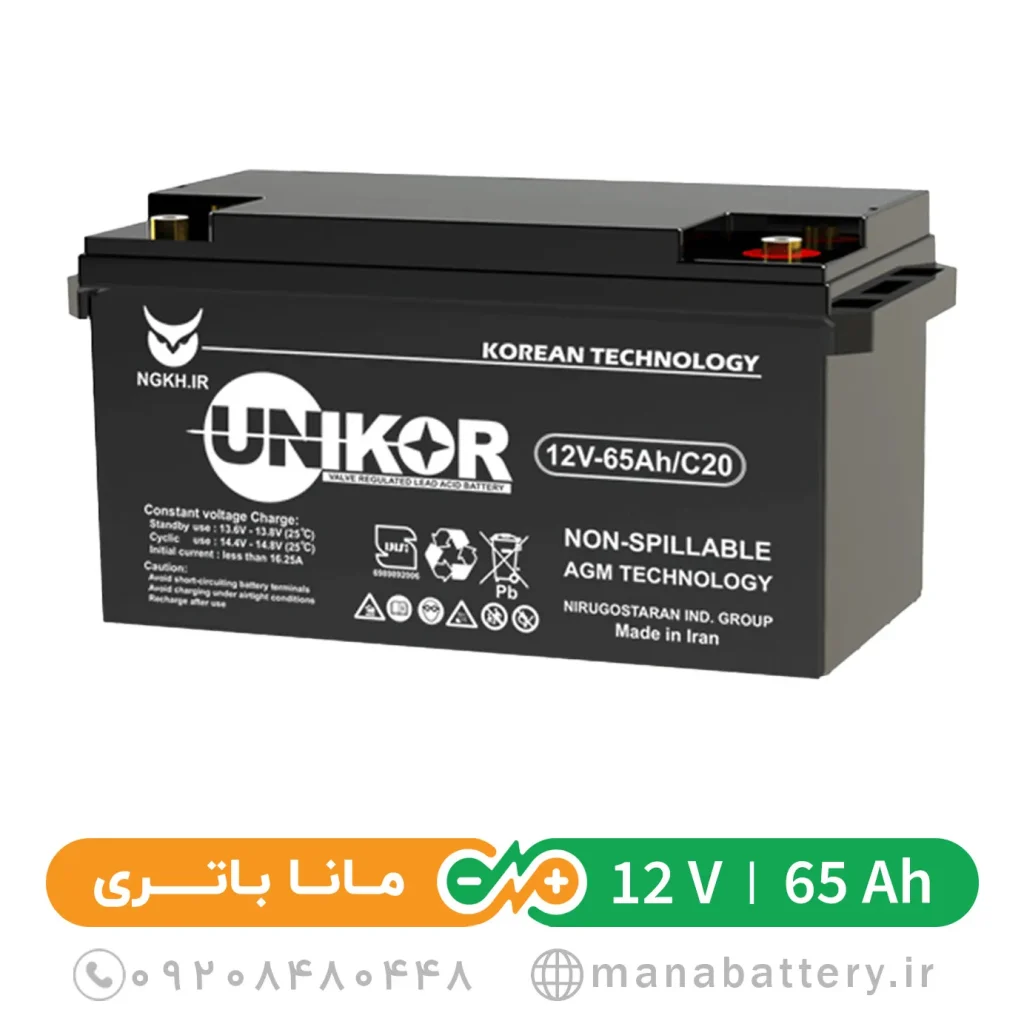 باتری یو پی اس 65 آمپرساعت 12 ولت